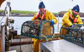 LOCAL SCALLOP FISHERY AN EXAMPLE FOR SUSTAINABILITY