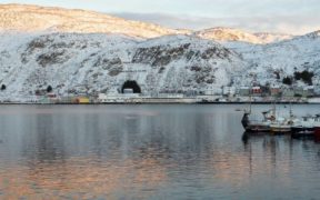 Lerøy invests in Norwegian seafood plant