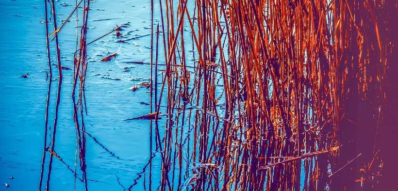 SCIENTISTS PREDICT EFFECT OF RISING SEAS