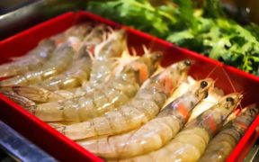 SEAFOOD EXPO ASIA OPENS ITS DOORS