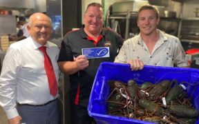 Eastern Rock Lobster becomes New South Wales’ first MSC certified fishery