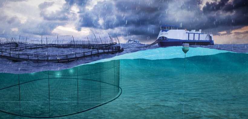 GAEL FORCE GROUP SIGNS EXCLUSIVE AGREEMENT