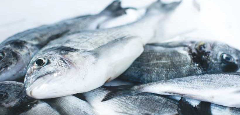 GSA SEEKS PILOTS FOR SEAFOOD PROCESSING