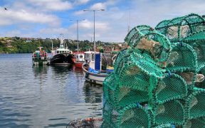 €29.7m investment in Irish fishery harbours