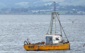 FISHING INDUSTRY SEES ANNUAL LEAVE DIP2