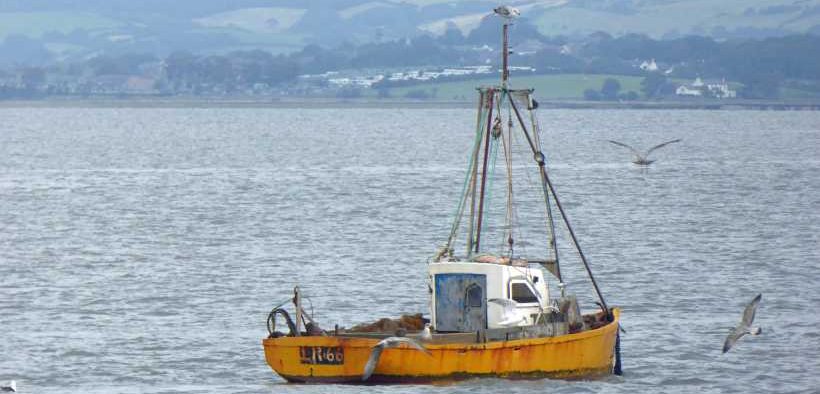 FISHING INDUSTRY SEES ANNUAL LEAVE DIP2