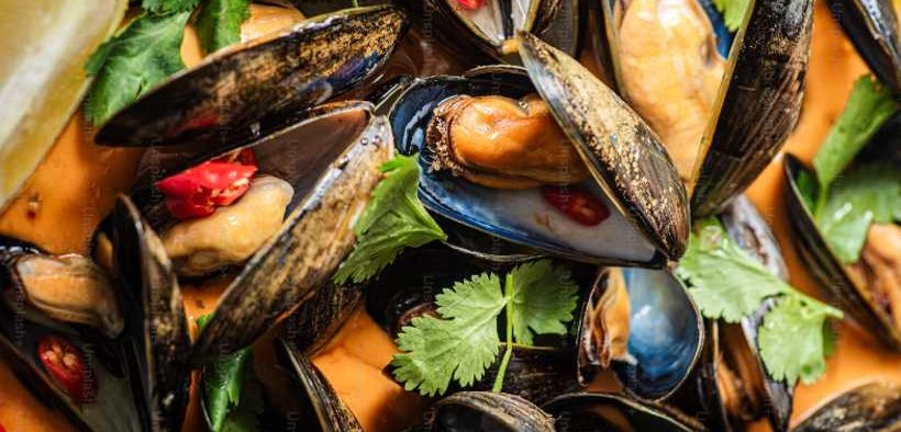 FOOD AND DRINK FEDERATION SCOTLAND COMMENT ON