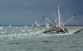 RESEARCHERS SEEK SEAFOOD SECTOR INSIGHT
