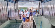 Seychelles aims to set up regional aquaculture centre of excellence