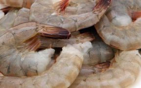 US Shrimp group requests action on Indian shrimp