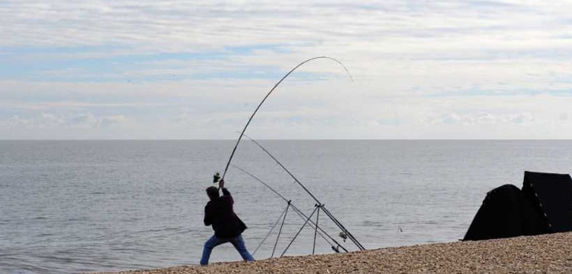 CITIZEN SCIENCE PROVIDES INSIGHT