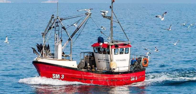 REVOLUTIONISING PRECISION FISHING