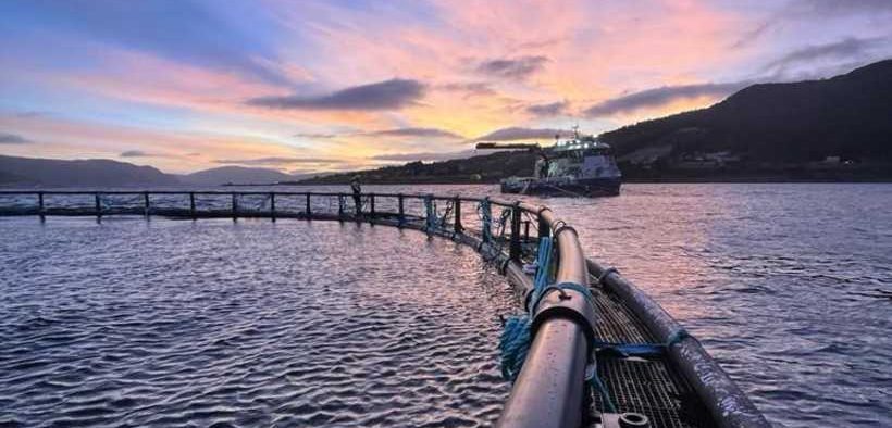 ODE OPENS NEW SEA SITE