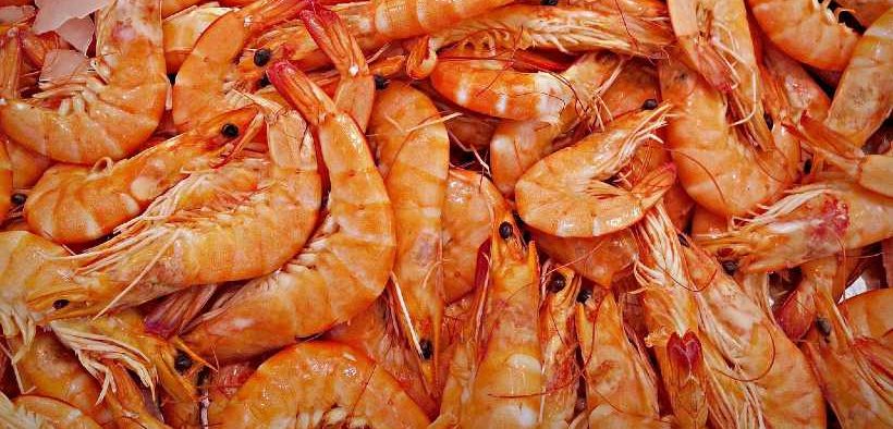 CO-OP ANNOUNCES PROGRESSIVE PRAWN WELFARE POLICY