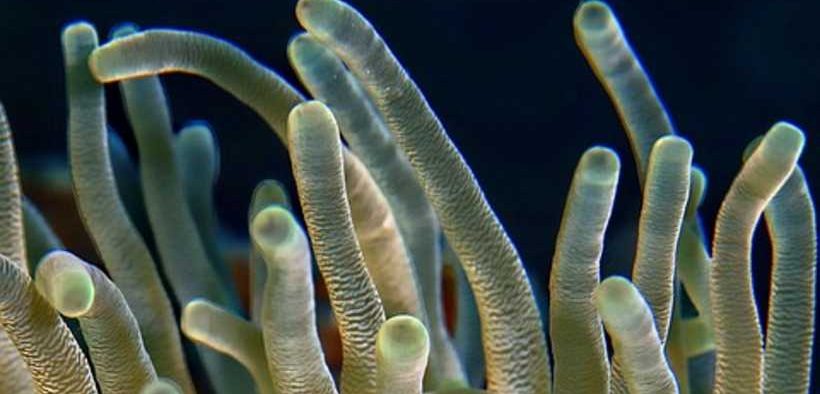 OUR OCEAN CONFERENCE DELIVERS $133 BILLION