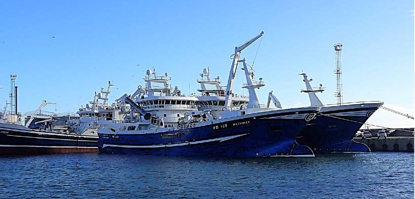 Successful blue whiting season for Scottish fleet
