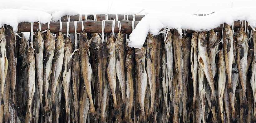 EU IMPOSES SANCTIONS ON MAJOR RUSSIAN WHITEFISH COMPANIES