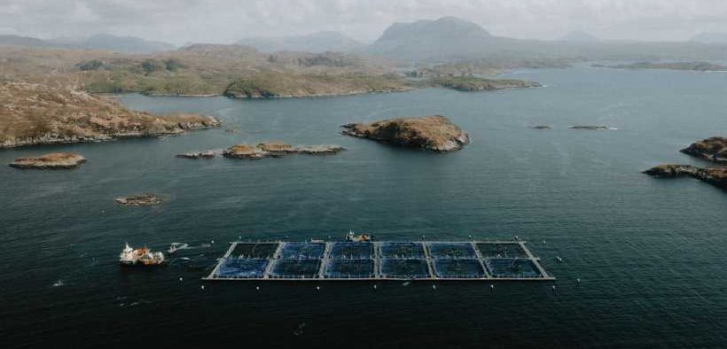 LOCH DUART SALMON INTRODUCE WELFARE STANDARD