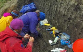 NEW ANCIENT FISH SPECIES EARLIEST KNOWN SALMON ANCESTOR