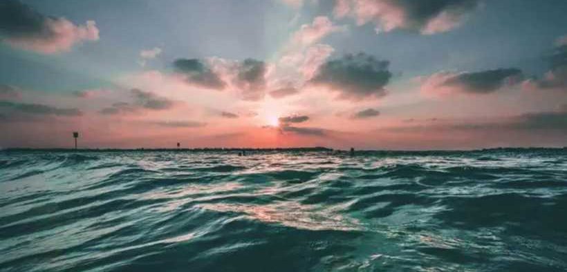 OCEAN WITH DAVID ATTENBOROUGH