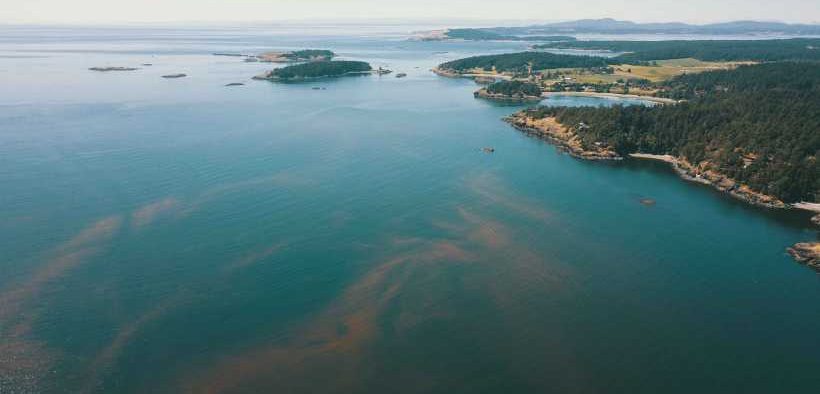 LANTRA INVITES AQUACULTURE SECTOR