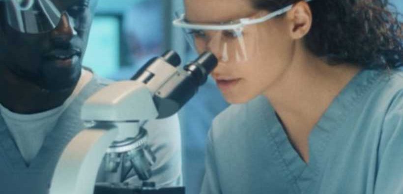 DSM-FIRMENICH MYCOTOXIN SURVEY JANUARY TO JUNE 2025