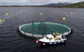 FROM LEHANAGH POOL TO LONDON