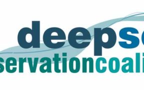 KEY POINTS TO BE DECIDED