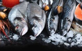 SEAFOOD SECTOR UNITES BEHIND NEW UK SEAFOOD FEDERATION