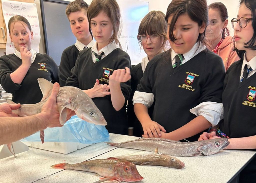 FISH FINGERS LIKE YOU’VE NEVER SEEN