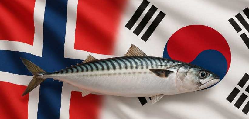 FROZEN MACKEREL IMPORTS UP