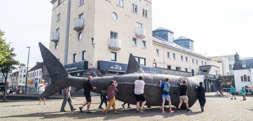 Global Experts to Dive Into Basking Shark Conservation