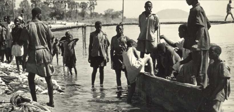 LESSONS FROM LAKE MALAWI