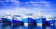 2024 WAS A YEAR OF GROWTH FOR THE IRISH MARITIME SECTOR