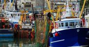 BRIXHAM’S FISHING INDUSTRY