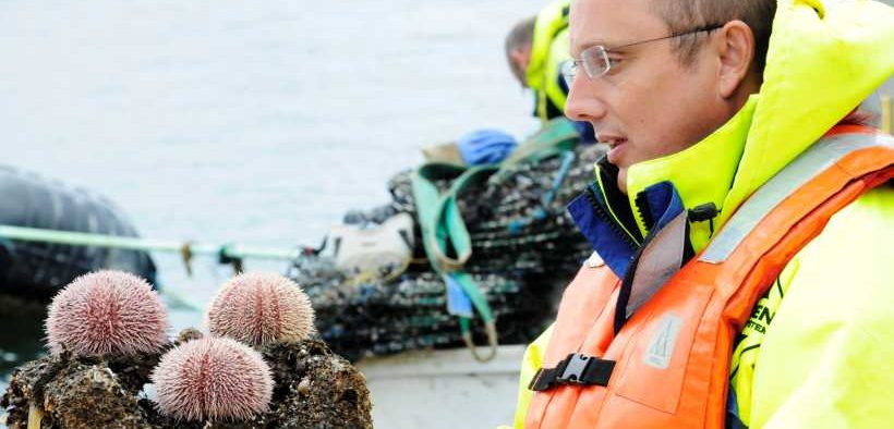 DR ADAM HUGHES OF SAMS