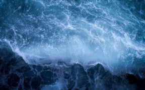 HISTORIC MILESTONE FOR GLOBAL OCEAN PROTECTION
