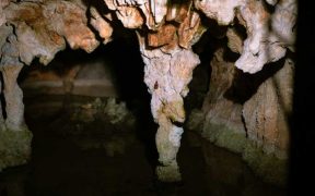 HOW BLIND CAVEFISH REWROTE EVOLUTION