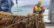 NORWAY’S AQUACULTURE INNOVATORS