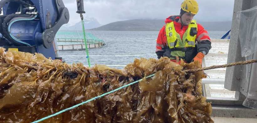 NORWAY’S AQUACULTURE INNOVATORS