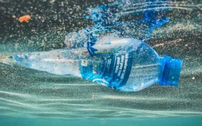 OCEAN MICROPLASTICS ON THE RISE