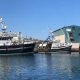 SCOTTISH WHITE FISH PRODUCERS’ ASSOCIATION REACTS