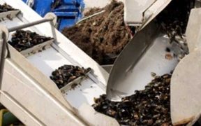 SFPA PUBLISHES SANITARY SURVEY FOR KENMARE BAY INNER