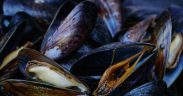 SSQC TO MEET SHELLFISH GROWERS