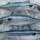 UK MACKEREL SUPPLIES UNDER THREAT
