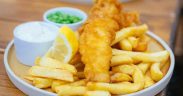 YOUNG FISH FRIERS NET