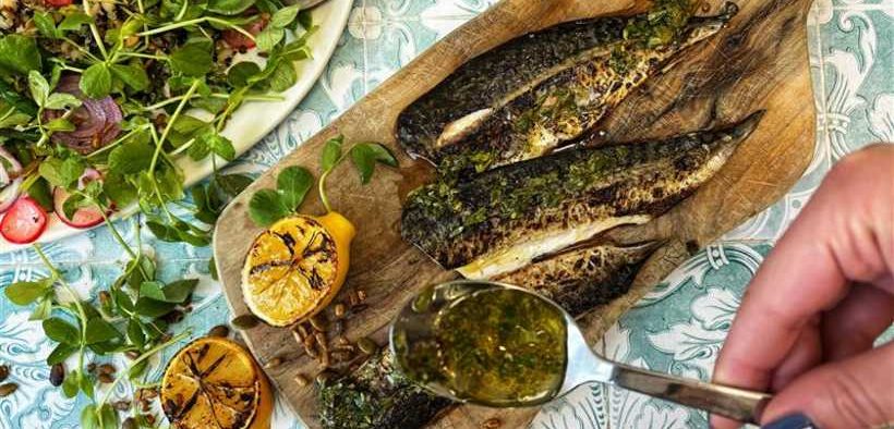 BIDFOOD ANNOUNCES LAUNCH OF ITS 2026 3