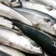 GLOBAL SEAFOOD COALITION DESCRIBES MACKEREL UPDATE