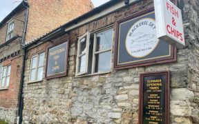 HOT TRIO OF NEW FISH AND CHIP SHOPS