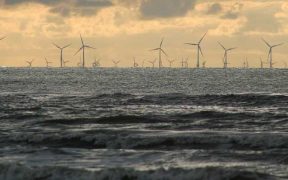 MINISTERS IGNORING PUBLIC OPINION